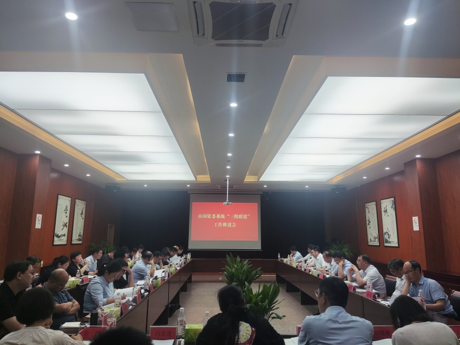 2024年7月17日，市國(guó)資委系統(tǒng)在公司開展“三組聯(lián)建”現(xiàn)場(chǎng)觀摩（推進(jìn)會(huì)）_副本